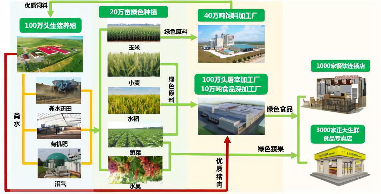 21世紀農(nóng)業(yè)“接地氣”新篇章 種養(yǎng)結(jié)合模式的價值與商業(yè)機遇