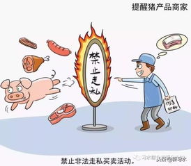 習水豬肉放心購，飼料原料供應穩——解析非洲豬瘟防控下的市場保障