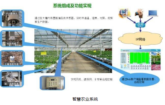 農(nóng)業(yè)機(jī)器人 全球發(fā)達(dá)國家的技術(shù)創(chuàng)新與人工智能應(yīng)用軟件開發(fā)